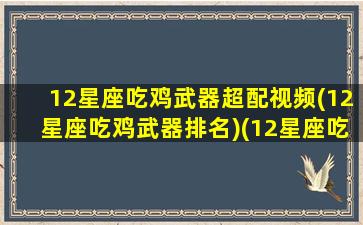 12星座吃鸡武器超配视频(12星座吃鸡武器排名)(12星座吃鸡专属武器)