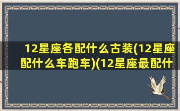 12星座各配什么古装(12星座配什么车跑车)(12星座最配什么跑车)