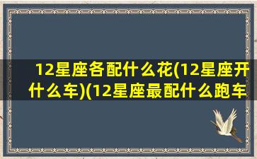 12星座各配什么花(12星座开什么车)(12星座最配什么跑车)