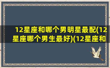 12星座和哪个男明星最配(12星座哪个男生最好)(12星座和谁好)