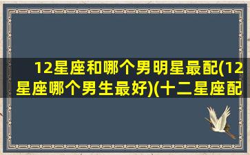 12星座和哪个男明星最配(12星座哪个男生最好)(十二星座配对男明星)