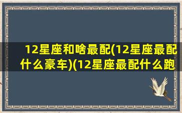 12星座和啥最配(12星座最配什么豪车)(12星座最配什么跑车)