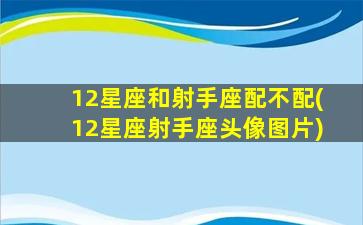 12星座和射手座配不配(12星座射手座头像图片)