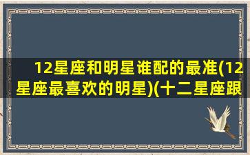 12星座和明星谁配的最准(12星座最喜欢的明星)(十二星座跟那个明星最配)