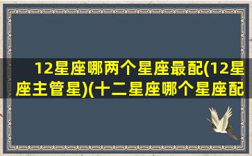 12星座哪两个星座最配(12星座主管星)(十二星座哪个星座配哪个星座)