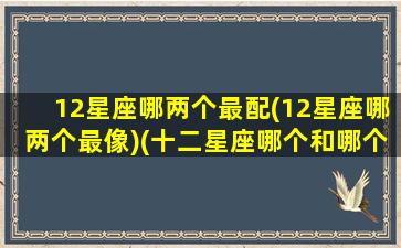 12星座哪两个最配(12星座哪两个最像)(十二星座哪个和哪个最配)