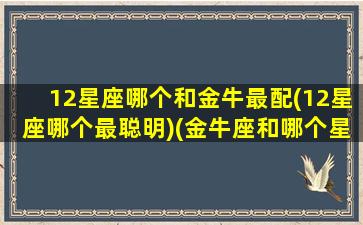 12星座哪个和金牛最配(12星座哪个最聪明)(金牛座和哪个星座比较合适)