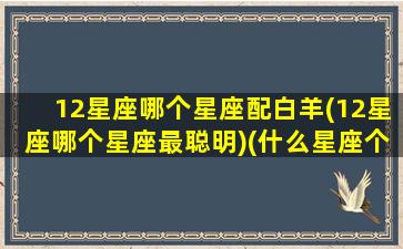 12星座哪个星座配白羊(12星座哪个星座最聪明)(什么星座个白羊最配对)