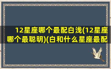 12星座哪个最配白浅(12星座哪个最聪明)(白和什么星座最配)