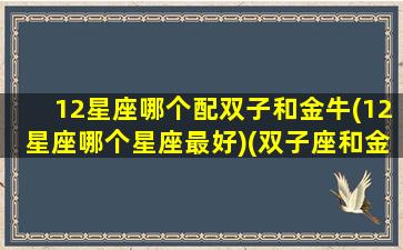 12星座哪个配双子和金牛(12星座哪个星座最好)(双子座和金牛座的匹配度是多少)