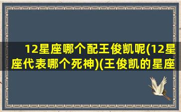 12星座哪个配王俊凯呢(12星座代表哪个死神)(王俊凯的星座和血型)