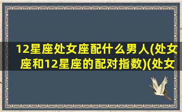 12星座处女座配什么男人(处女座和12星座的配对指数)(处女座和十二星座的爱情匹配度)