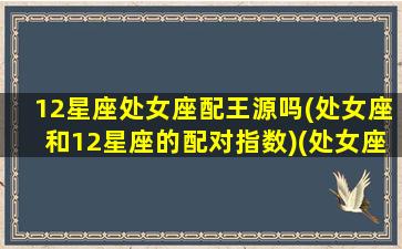 12星座处女座配王源吗(处女座和12星座的配对指数)(处女座和哪个男明星最配)