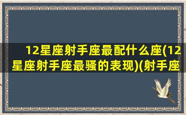 12星座射手座最配什么座(12星座射手座最骚的表现)(射手座最配的星座配对)