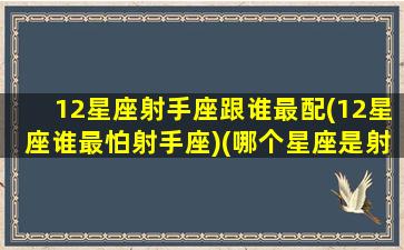 12星座射手座跟谁最配(12星座谁最怕射手座)(哪个星座是射手座的克星)