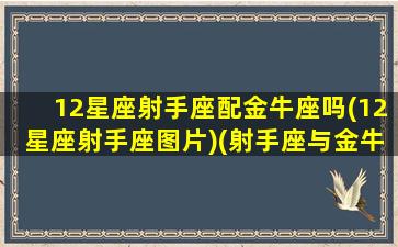 12星座射手座配金牛座吗(12星座射手座图片)(射手座与金牛座的配对指数是多少)