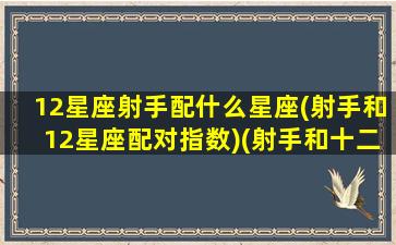 12星座射手配什么星座(射手和12星座配对指数)(射手和十二星座)