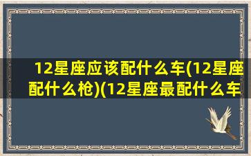 12星座应该配什么车(12星座配什么枪)(12星座最配什么车)