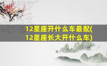 12星座开什么车最配(12星座长大开什么车)