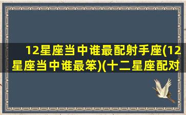 12星座当中谁最配射手座(12星座当中谁最笨)(十二星座配对指南射手座)