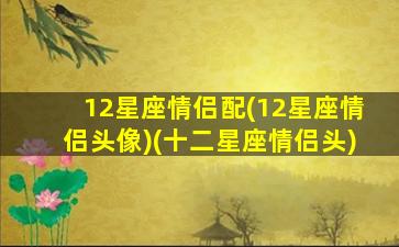 12星座情侣配(12星座情侣头像)(十二星座情侣头)