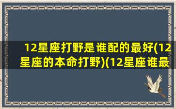 12星座打野是谁配的最好(12星座的本命打野)(12星座谁最能打)