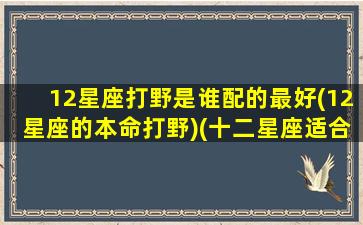 12星座打野是谁配的最好(12星座的本命打野)(十二星座适合玩什么打野)