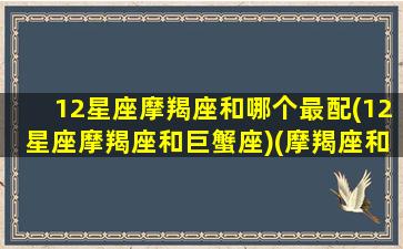 12星座摩羯座和哪个最配(12星座摩羯座和巨蟹座)(摩羯座和十二星座配对)