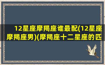 12星座摩羯座谁最配(12星座摩羯座男)(摩羯座十二星座的匹配度数)