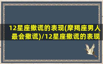 12星座撒谎的表现(摩羯座男人最会撒谎)/12星座撒谎的表现(摩羯座男人最会撒谎)-我的网站