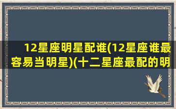 12星座明星配谁(12星座谁最容易当明星)(十二星座最配的明星)