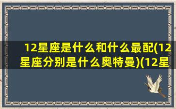 12星座是什么和什么最配(12星座分别是什么奥特曼)(12星座对应的奥特曼,我是最厉害的那个!)