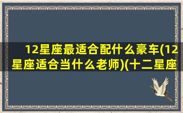 12星座最适合配什么豪车(12星座适合当什么老师)(十二星座适合什么的车)