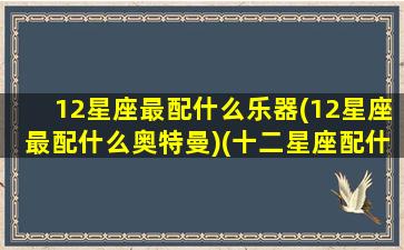 12星座最配什么乐器(12星座最配什么奥特曼)(十二星座配什么星座最好)