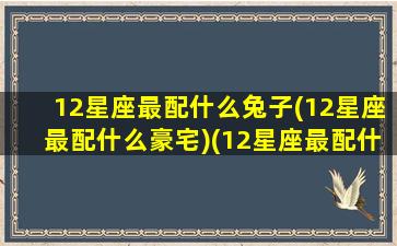 12星座最配什么兔子(12星座最配什么豪宅)(12星座最配什么车)