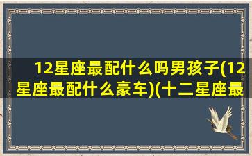 12星座最配什么吗男孩子(12星座最配什么豪车)(十二星座最配的男明星)