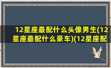 12星座最配什么头像男生(12星座最配什么豪车)(12星座配什么动物)