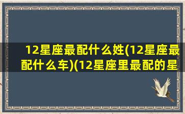 12星座最配什么姓(12星座最配什么车)(12星座里最配的星座)