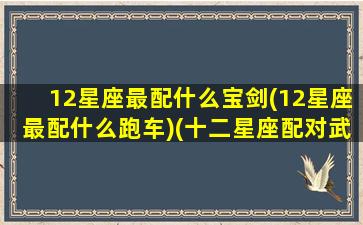 12星座最配什么宝剑(12星座最配什么跑车)(十二星座配对武器)