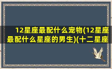 12星座最配什么宠物(12星座最配什么星座的男生)(十二星座最配什么狗狗)