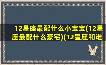 12星座最配什么小宝宝(12星座最配什么豪宅)(12星座和谁最搭配)