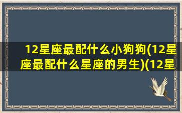 12星座最配什么小狗狗(12星座最配什么星座的男生)(12星座对应的狗狗)