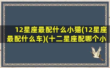 12星座最配什么小猫(12星座最配什么车)(十二星座配哪个小猫)