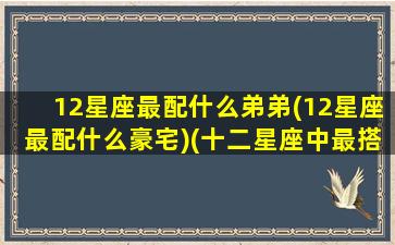 12星座最配什么弟弟(12星座最配什么豪宅)(十二星座中最搭配的星座)