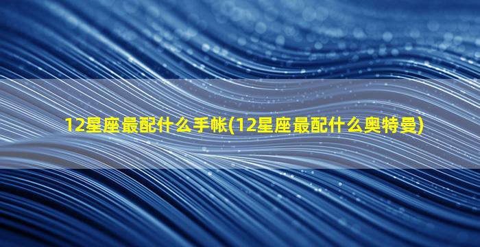 12星座最配什么手帐(12星座最配什么奥特曼)