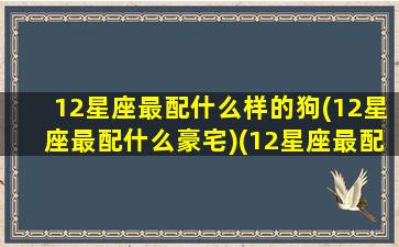 12星座最配什么样的狗(12星座最配什么豪宅)(12星座最配的一对)