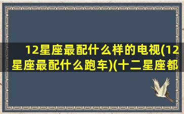 12星座最配什么样的电视(12星座最配什么跑车)(十二星座都配什么星座)