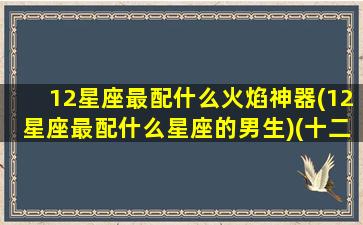 12星座最配什么火焰神器(12星座最配什么星座的男生)(十二星座配什么神兽)