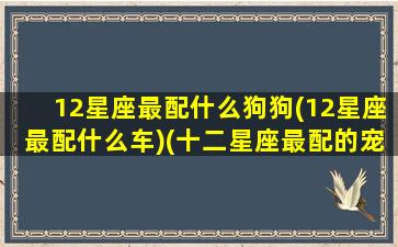 12星座最配什么狗狗(12星座最配什么车)(十二星座最配的宠物)