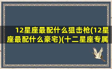 12星座最配什么狙击枪(12星座最配什么豪宅)(十二星座专属狙击枪谁最强)